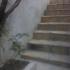 Apartments Popovic- Risan, , private accommodation in city Risan, Montenegro - Popločane skale ba&amp;amp;amp;amp;amp;amp;amp;amp
